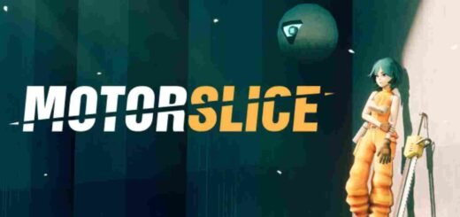 MOTORSLICE